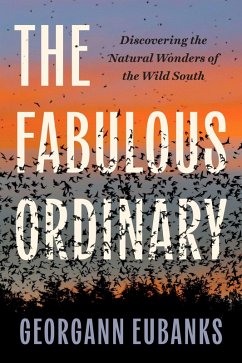 The Fabulous Ordinary (eBook, ePUB) Cover The Fabulous Ordinary (eBook, ePUB)