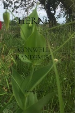 Cover HERNE (eBook, ePUB)