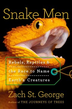 Cover Snake Men (eBook, ePUB)