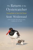 The Return of the Oystercatcher (eBook, ePUB)