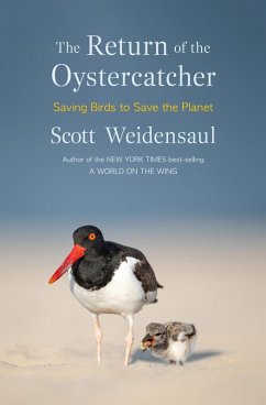 The Return of the Oystercatcher (eBook, ePUB) Cover The Return of the Oystercatcher (eBook, ePUB)