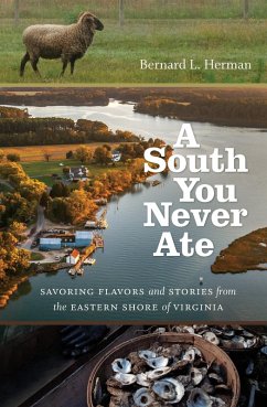 A South You Never Ate (eBook, ePUB)