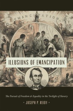 Illusions of Emancipation (eBook, ePUB) Illusions of Emancipation (eBook, ePUB)
