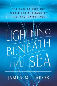 Cover Lightning Beneath the Sea (eBook, ePUB)