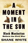 A Moment in the Sun (eBook, ePUB)