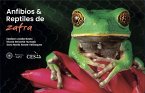 Anfibios y reptiles de Zafra (eBook, PDF)