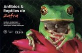 Anfibios y reptiles de Zafra (eBook, PDF)