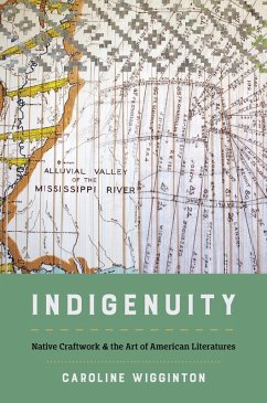 Indigenuity (eBook, ePUB)