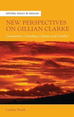 Cover New Perspectives on Gillian Clarke (eBook, ePUB)
