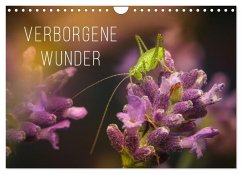 Cover Verborgene Wunder (Wandkalender 2026 DIN A4 quer), CALVENDO Monatskalender