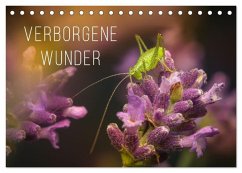 Verborgene Wunder (Tischkalender 2026 DIN A5 quer), CALVENDO Monatskalender Verborgene Wunder (Tischkalender 2026 DIN A5 quer), CALVENDO Monatskalender