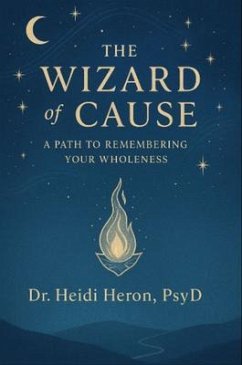Cover The Wizard of Cause (eBook, ePUB)