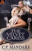 The Velvet Caress (Velvet Lies, #2) (eBook, ePUB)