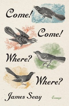 Come! Come! Where? Where? (eBook, ePUB)