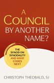 A Council by Another Name? (eBook, ePUB)
