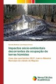 Impactos sócio-ambientais decorrentes da ocupação de terras húmidas Impactos sócio-ambientais decorrentes da ocupação de terras húmidas