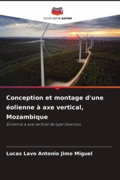 Conception et montage d'une éolienne à axe vertical, Mozambique - Miguel, Lucas Lavo Antonio Jimo Conception et montage d'une éolienne à axe vertical, Mozambique - Miguel, Lucas Lavo Antonio Jimo