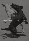 Jörg Brüggemann   Tres Viajes Jörg Brüggemann   Tres Viajes
