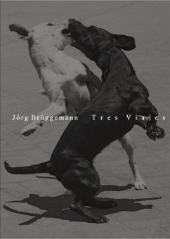 Jörg Brüggemann   Tres Viajes - Brüggemann, Jörg Jörg Brüggemann   Tres Viajes - Brüggemann, Jörg