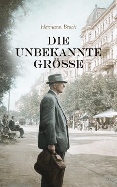 Cover Die Unbekannte Größe (eBook, ePUB)