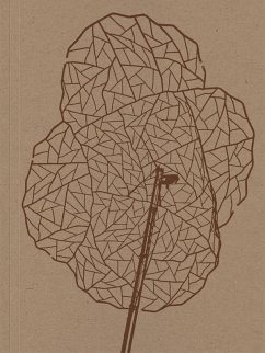 Cover Alois Schild