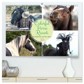 Colorful Horse Ranch - Wo Tinker posen und Ponys lächeln (hochwertiger Premium Wandkalender 2026 DIN A2 quer), Kunstdruck in Hochglanz