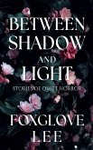 Between Shadow and Light