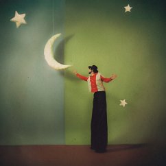 Cover The Dreamin' Kind