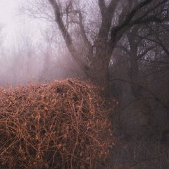 Cover Nincs Szennyezetlen Szép (Ltd Your Pieces Scattere