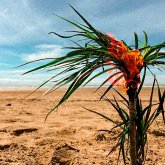 A Burial At Sea (5-Year-Anniversary Edition) A Burial At Sea (5-Year-Anniversary Edition)