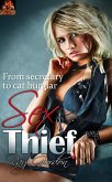 Sex Thief (Ray Gordon Erotic Stories) (eBook, ePUB) Sex Thief (Ray Gordon Erotic Stories) (eBook, ePUB)