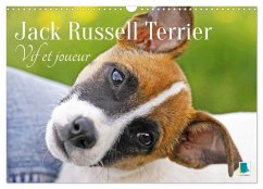 Jack Russell Terrier : vif et joueur (Calendrier mural 2026 DIN A3 vertical), CALVENDO calendrier mensuel