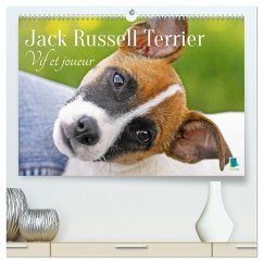 Jack Russell Terrier : vif et joueur (Calendrier mural 2026 DIN A2 vertical) calendrier de bureau