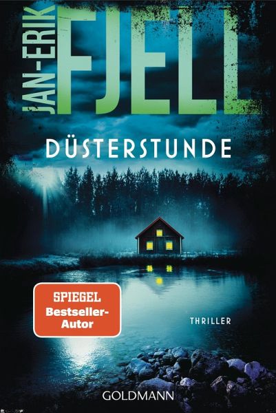 Düsterstunde (eBook, ePUB)