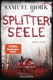 Splitterseele (eBook, ePUB)