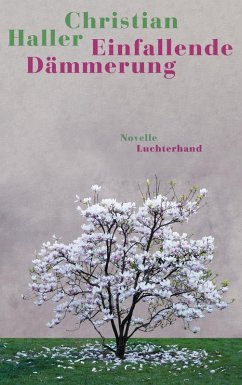 Einfallende Dämmerung (eBook, ePUB) - Haller, Christian