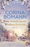 Eine wundersame Weihnachtsreise (eBook, ePUB)