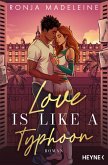 Love is like a Typhoon (eBook, ePUB)