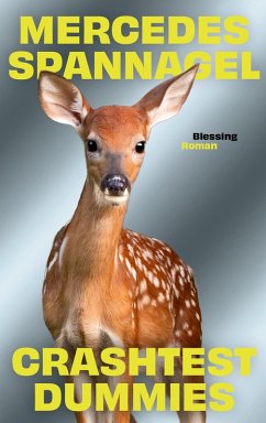 Crashtest Dummies (eBook, ePUB) - Spannagel, Mercedes