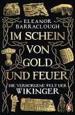 Im Schein von Gold und Feuer (eBook, ePUB)