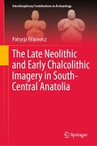 The Late Neolithic and Early Chalcolithic Imagery in South-Central Anatolia (eBook, PDF)