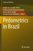 Pedometrics in Brazil