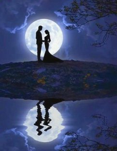 Moonlight Enchanting Lovers' Night (eBook, ePUB) - Qin
