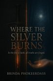 Where the Silver Burns (eBook, ePUB)