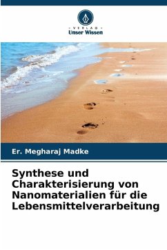 Cover Synthese und Charakterisierung von Nanomaterialien für die Lebensmittelverarbeitung