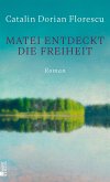 Matei entdeckt die Freiheit (eBook, ePUB)