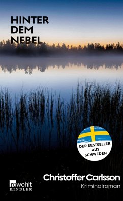 Hinter dem Nebel (eBook, ePUB) - Carlsson, Christoffer