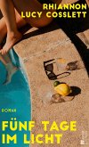 Fünf Tage im Licht (eBook, ePUB)