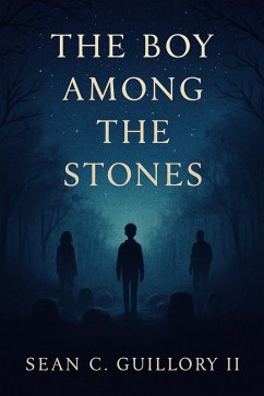 Cover The Boy Among the Stones (eBook, ePUB)