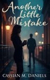 Another Little Mistake (eBook, ePUB)
